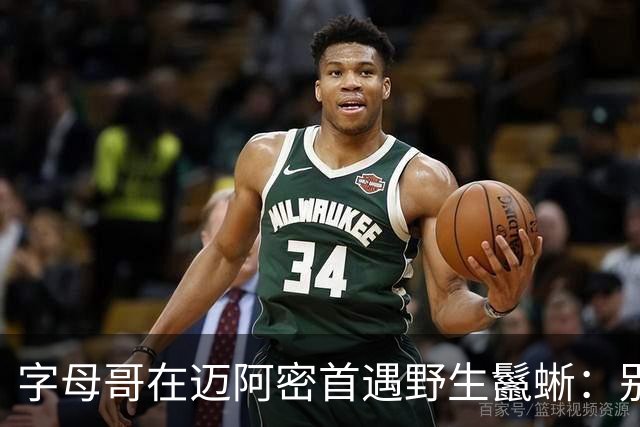 字母哥在迈阿密首遇野生鬣蜥：别惹我家后院